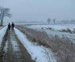 https://madyna.be/storage/activity_photos/669682034c28f/winterwandeling.jfif