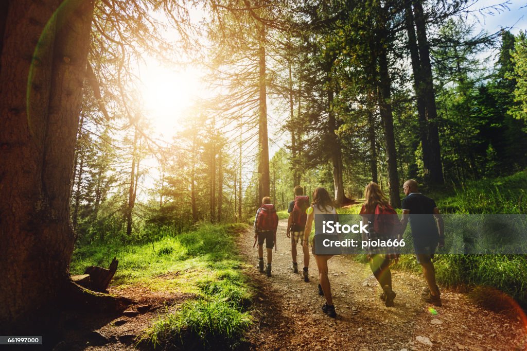 https://madyna.be/storage/activity_photos/685e5ab1b135d/wandeling.jpg
